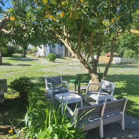 Pensionat Casa Elena