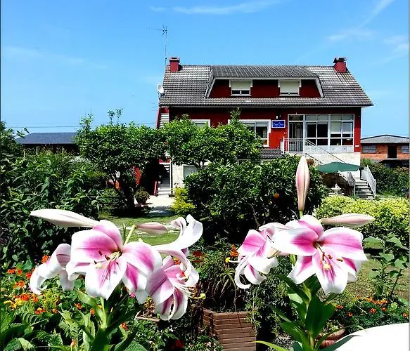 Casa Elena بيت ضيافة Foro