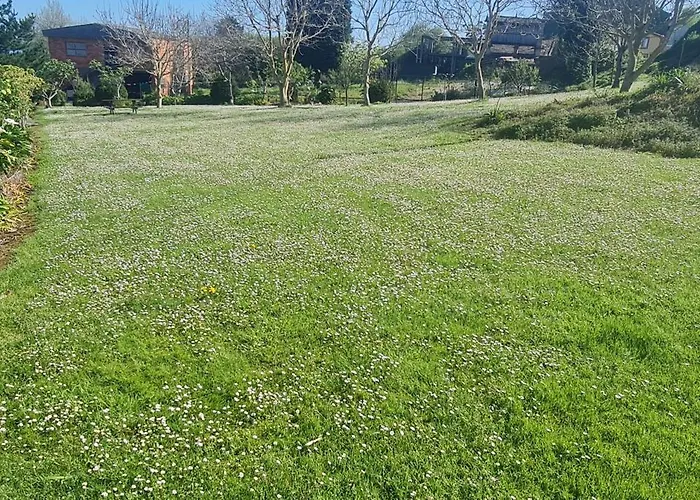 Casa Elena بيت ضيافة Foro