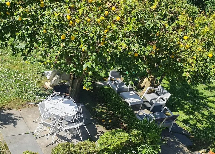 Konukevi Casa Elena Foro