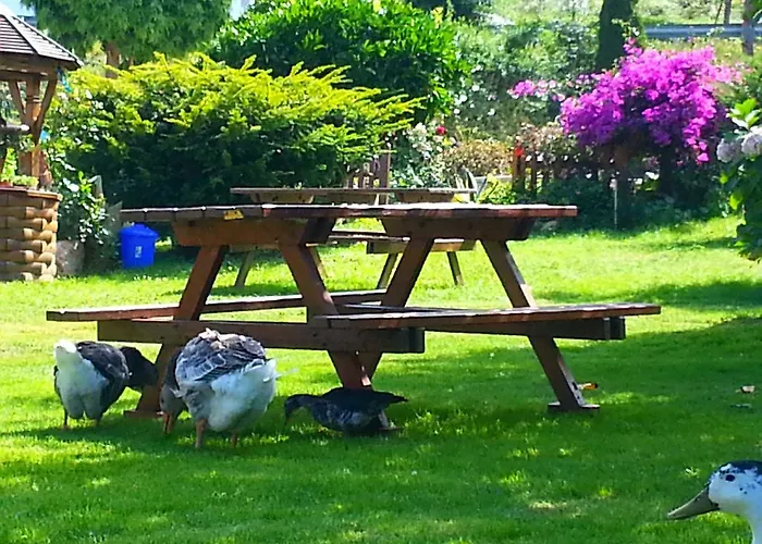 Casa Elena بيت ضيافة 2*