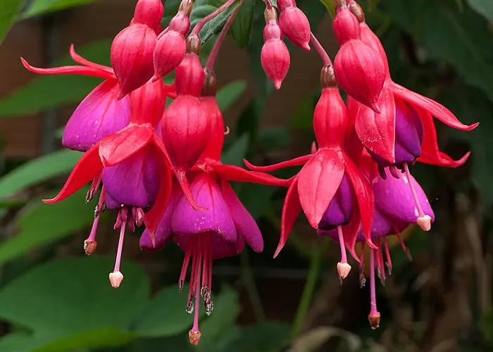 بيت ضيافة Casa Elena Foro